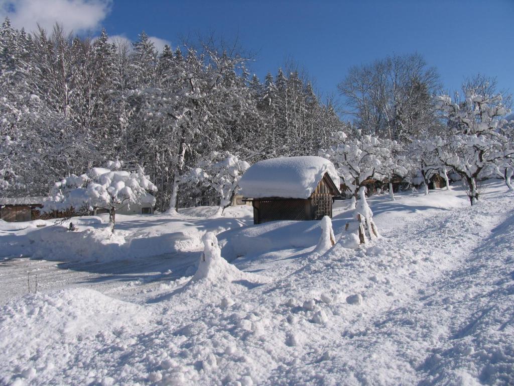 Gasthof Staud'Nwirt Bad Aussee Exterior foto